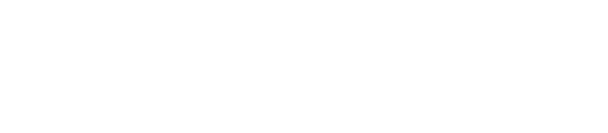 SoftPartners logo